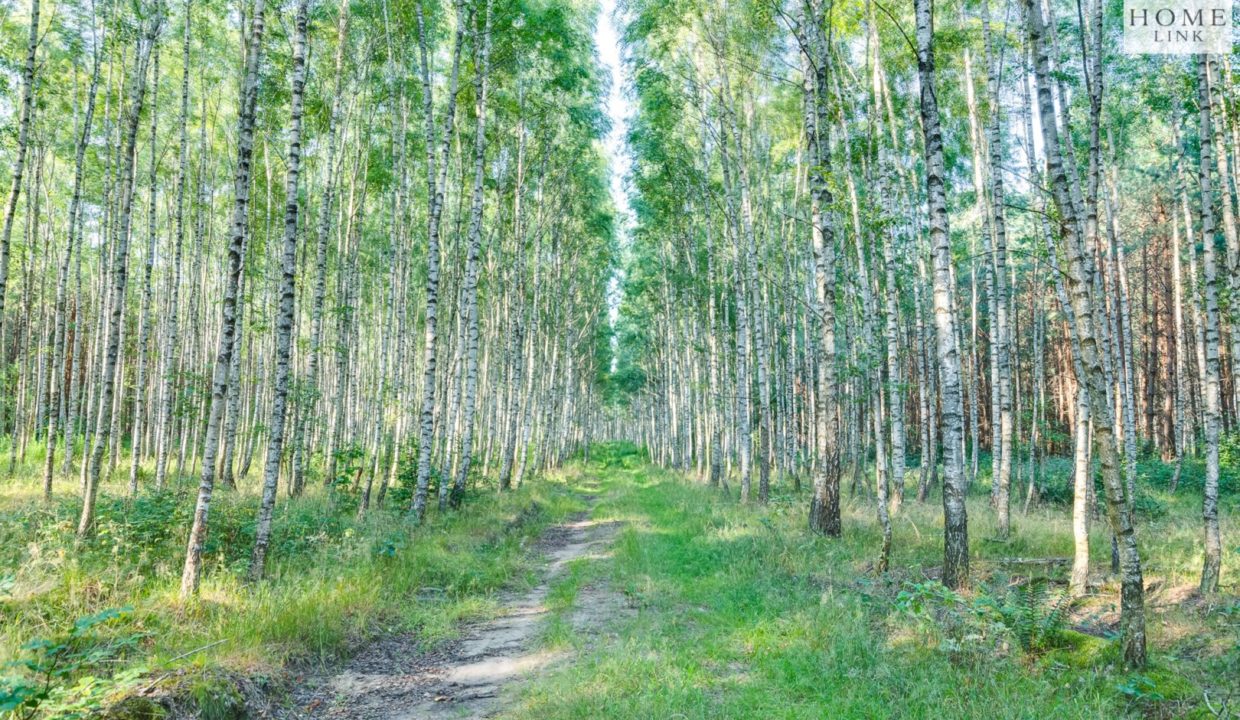 galactica_homelink_zs_HMLK-GS-3165_10