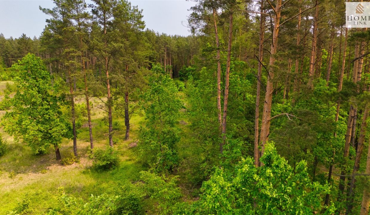 galactica_homelink_zs_HMLK-GS-3152_10