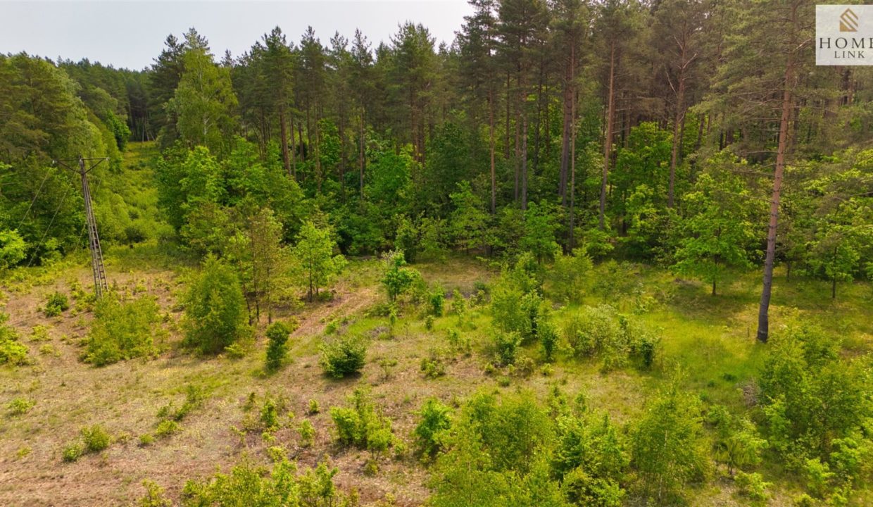 galactica_homelink_zs_HMLK-GS-3152_9