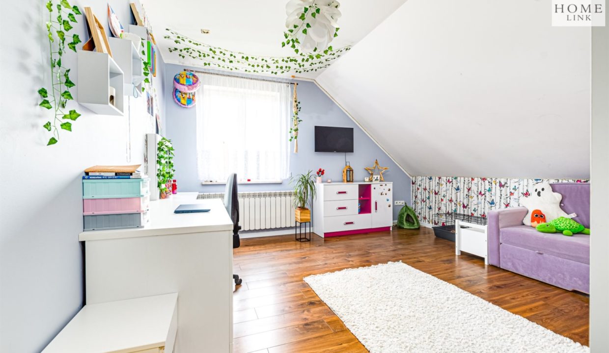 galactica_homelink_ds_HMLK-DS-3110_11