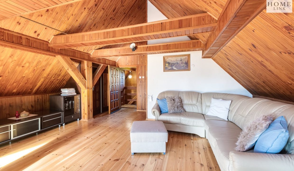 galactica_homelink_ds_HMLK-DS-3160_15