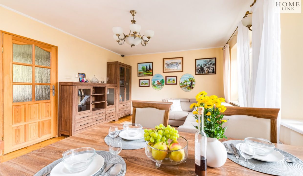 galactica_homelink_ds_HMLK-DS-3160_2