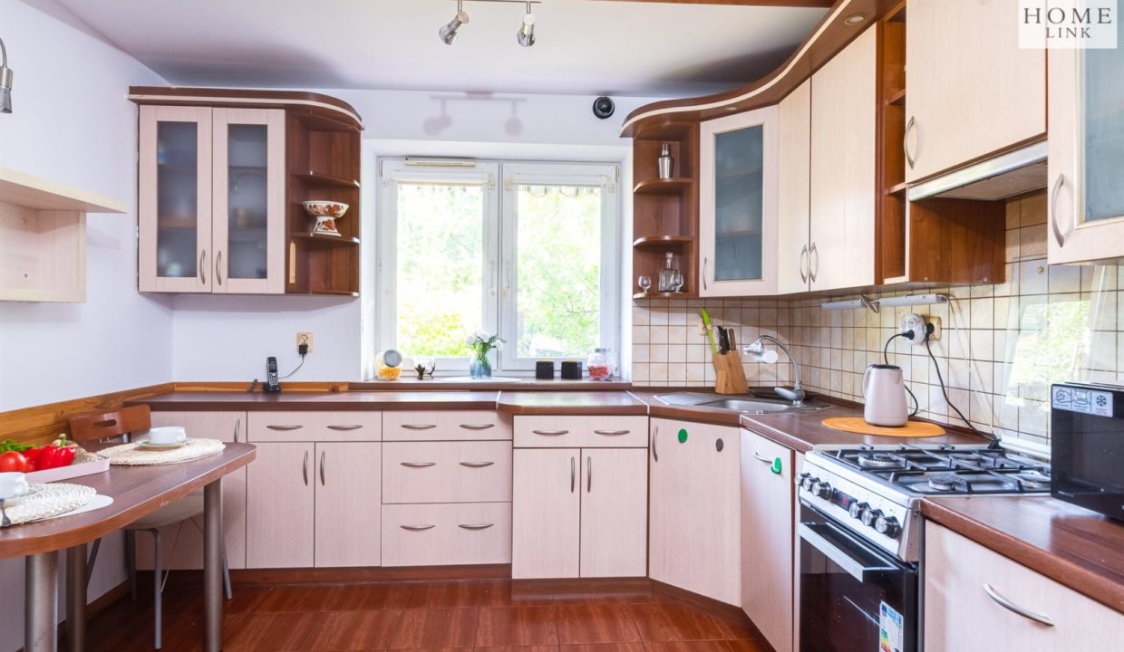 galactica_homelink_ds_HMLK-DS-3160_24