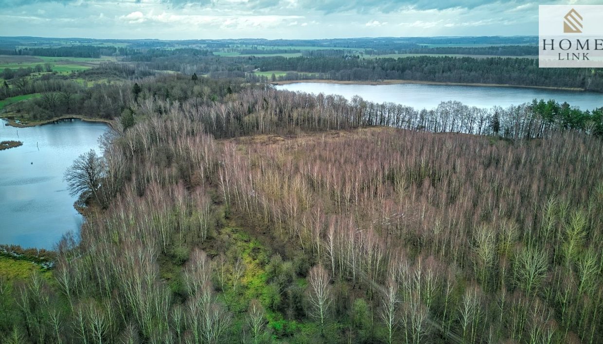 galactica_homelink_zs_HMLK-GS-3224_11