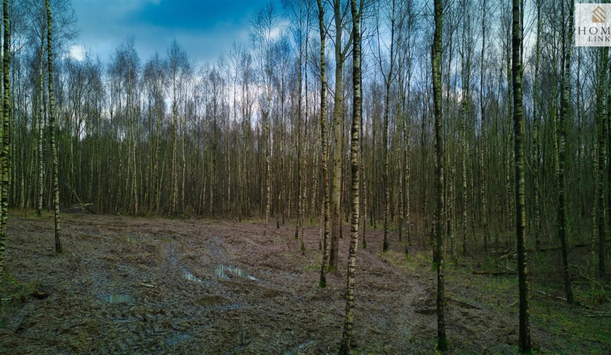 galactica_homelink_zs_HMLK-GS-3224_13