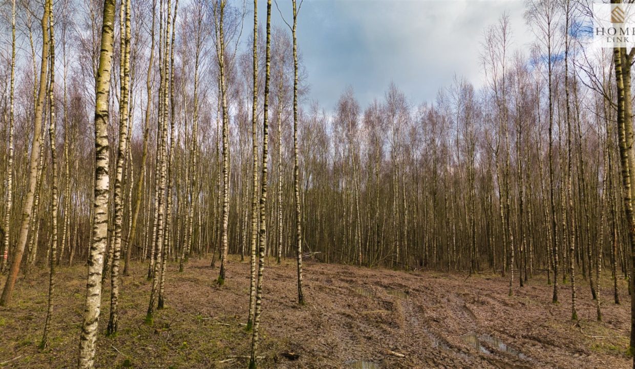 galactica_homelink_zs_HMLK-GS-3224_14