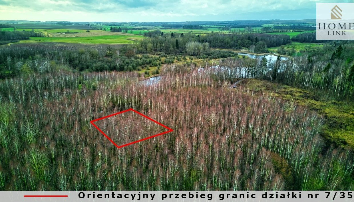 galactica_homelink_zs_HMLK-GS-3224_6