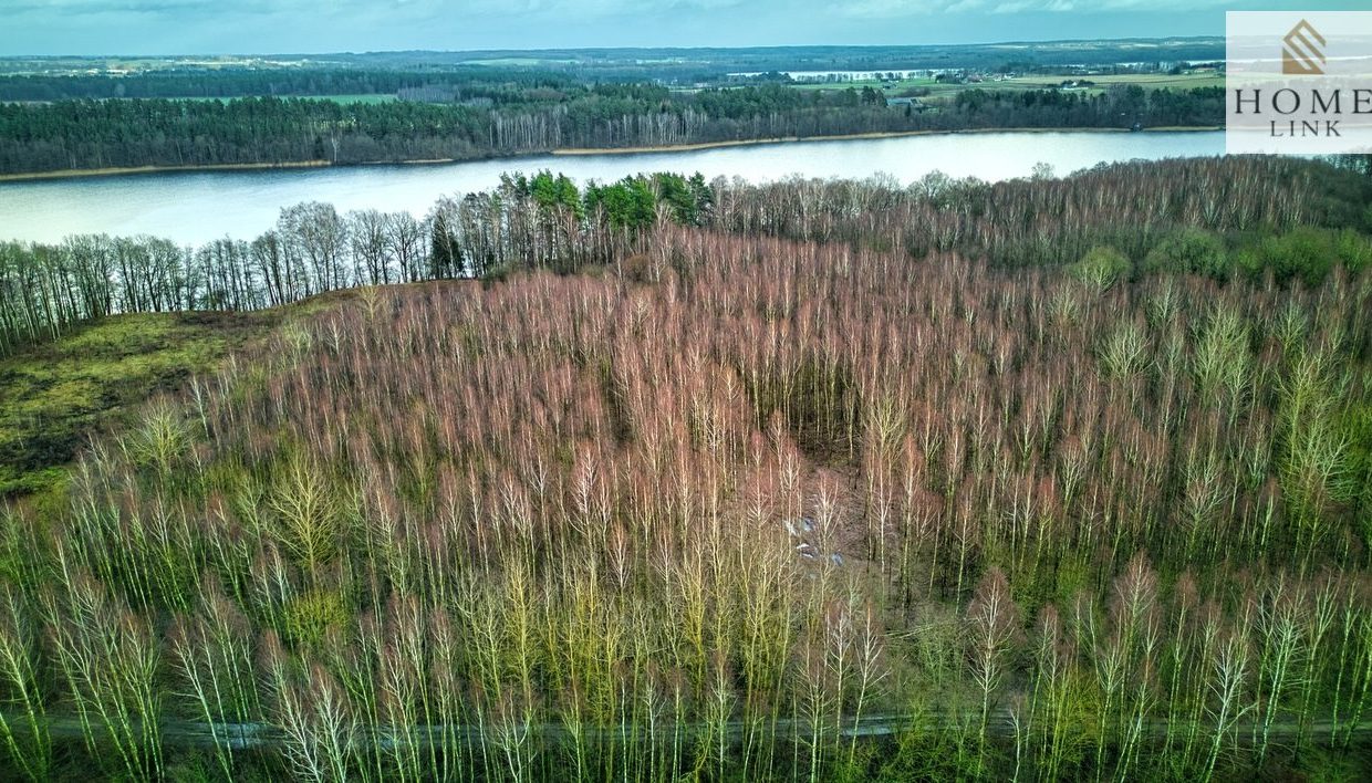 galactica_homelink_zs_HMLK-GS-3224_7