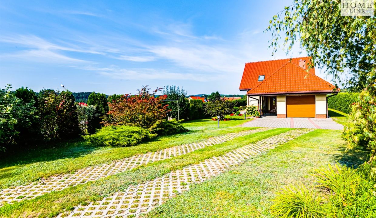 galactica_homelink_ds_HMLK-DS-2809_10