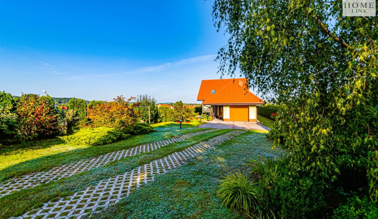 galactica_homelink_ds_HMLK-DS-2809_16