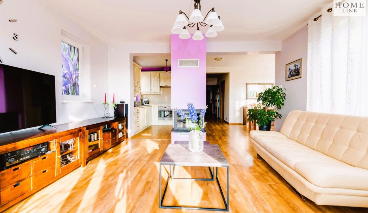 galactica_homelink_ds_HMLK-DS-2809_8