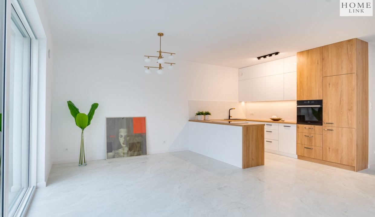 galactica_homelink_ds_HMLK-DS-3230_23