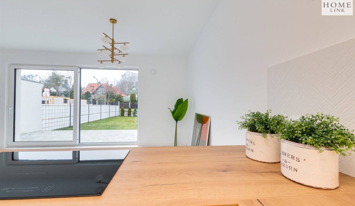 galactica_homelink_ds_HMLK-DS-3230_24