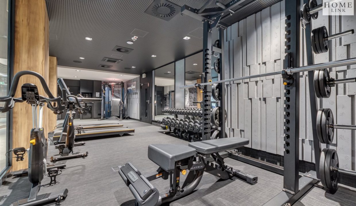 galactica_homelink_mw_HMLK-MW-3222_15