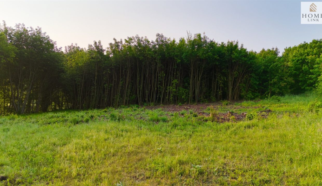 galactica_homelink_zs_HMLK-GS-3151_3