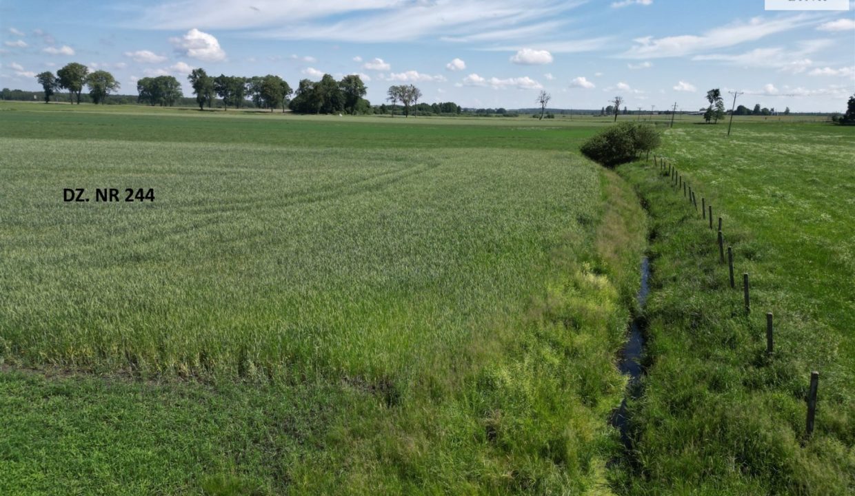 galactica_homelink_zs_HMLK-GS-3229_10