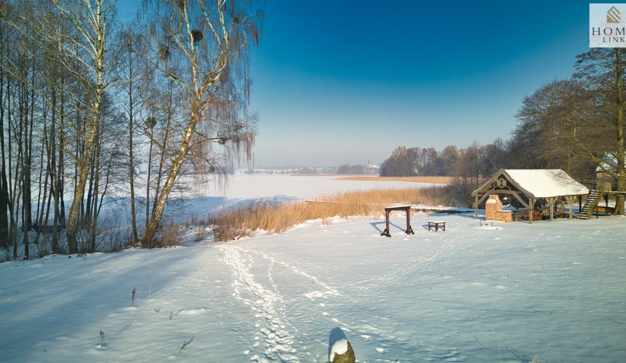 galactica_homelink_ds_HMLK-DS-3173-2_1