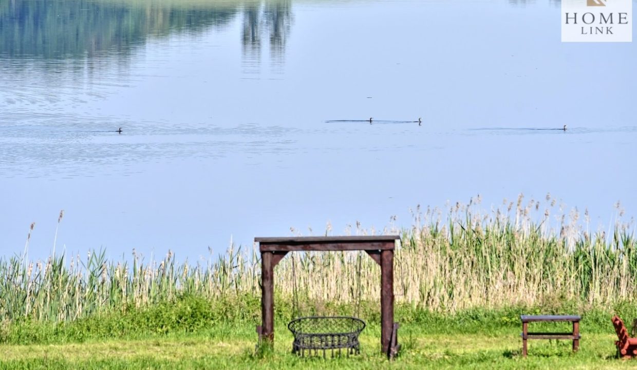 galactica_homelink_ds_HMLK-DS-3173-2_17