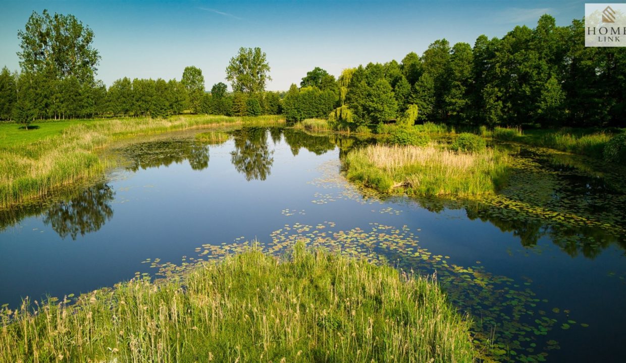 galactica_homelink_ds_HMLK-DS-3173-2_21