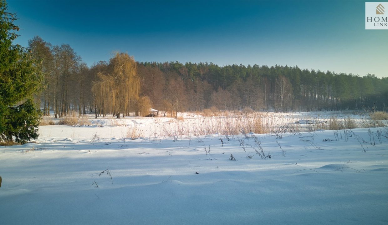 galactica_homelink_ds_HMLK-DS-3173-2_3