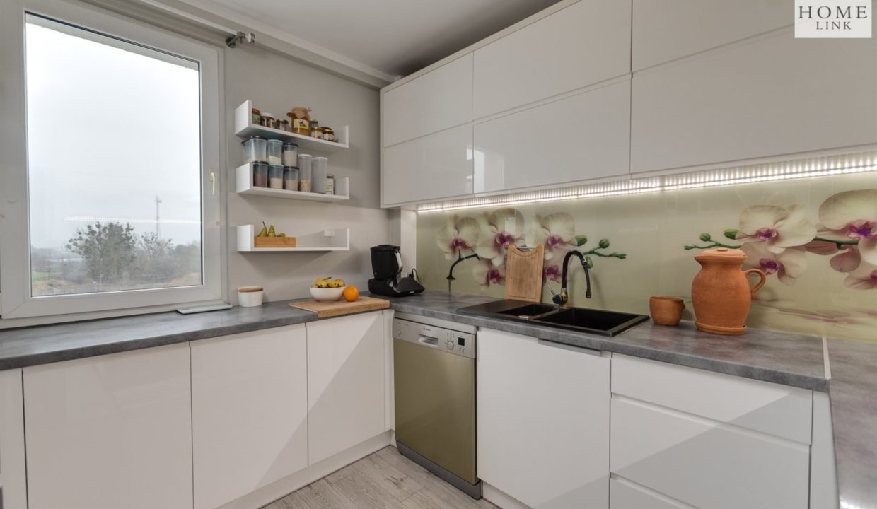 galactica_homelink_ms_HMLK-MS-3227_1