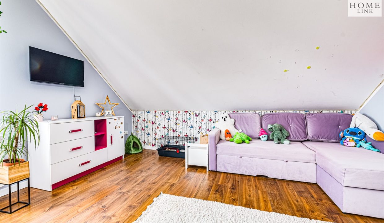 galactica_homelink_ds_HMLK-DS-3110_12