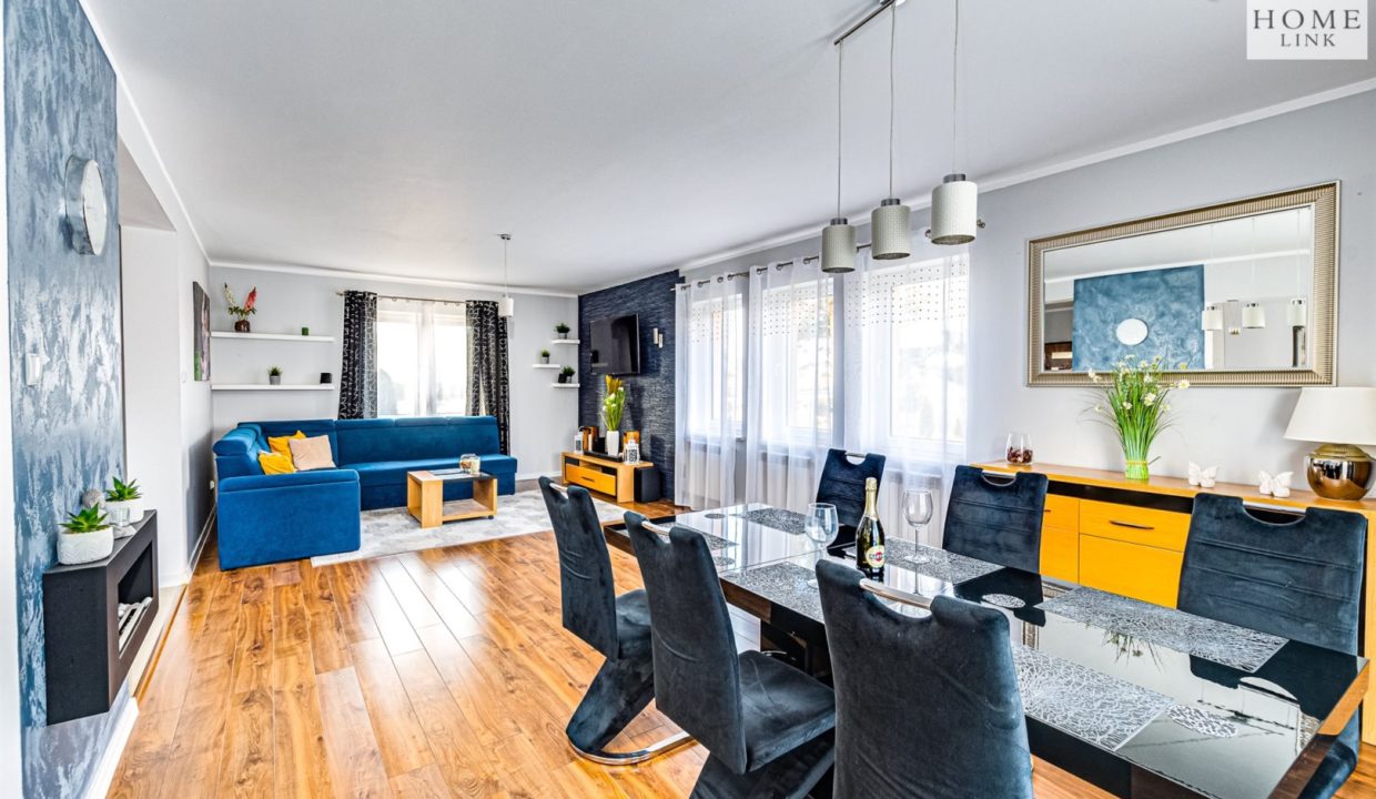 galactica_homelink_ds_HMLK-DS-3110_2