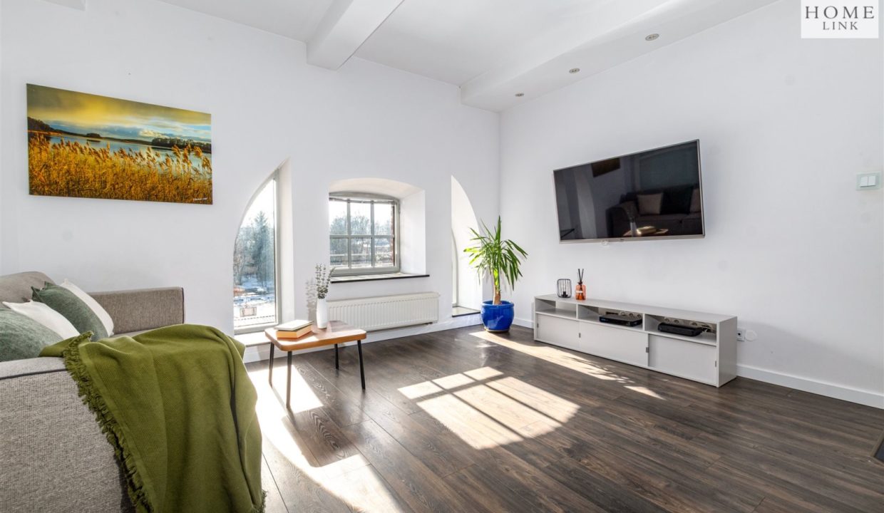 galactica_homelink_ms_HMLK-MS-3244_2