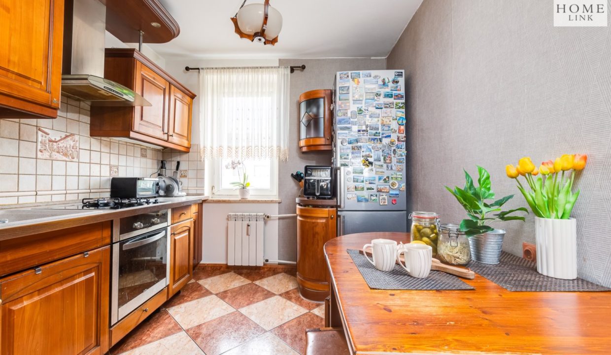 galactica_homelink_ms_HMLK-MS-3250_4