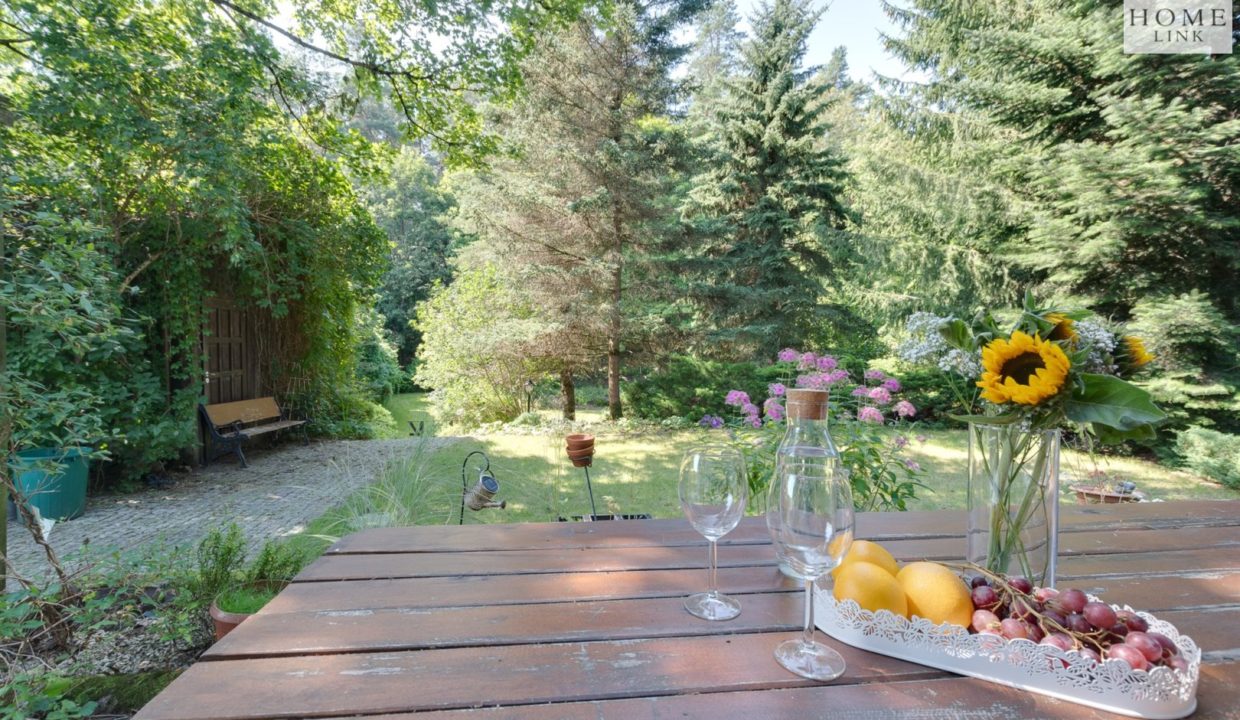 galactica_homelink_ds_HMLK-DS-3186_22