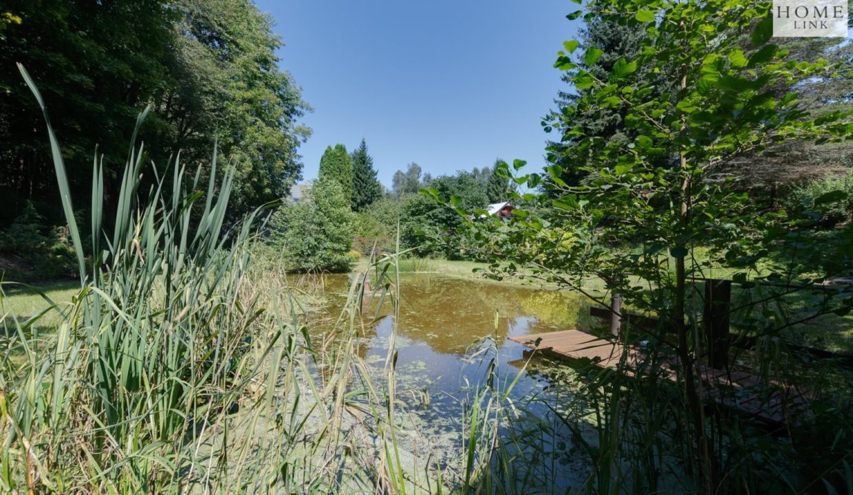 galactica_homelink_ds_HMLK-DS-3186_8